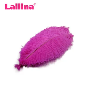 Fashion Purple Pheasant Feather Pad
