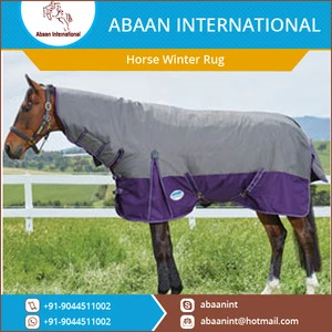 Fiber Nylon and Polyester Filling Horse Winter Rug and Combo