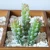 Import Flower arrangement accessories fake plastic flower decoration potted flocking artificial succulent plant Small   Plant from China