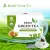 Import Free Sample Chinese Organic Herbal Green Tea With 100% Certified Organic Reishi mushroom In Bag Best Brands Price from China