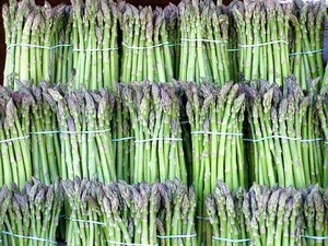 Fresh Asparagus- Frozen Asparagus- High quality and Best price / Asparagus price
