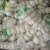 Import fresh garlic , bulk garlic, garlic exporters china from China