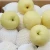 Import Fresh Golden Pears from South Africa