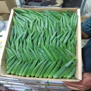 Fresh Okra From India