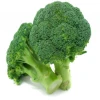 Fresh Vegetable Broccoli High Quality From Turkey