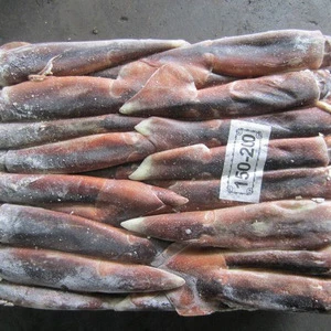 Frozen Argentina squid - Best Quality and Price.