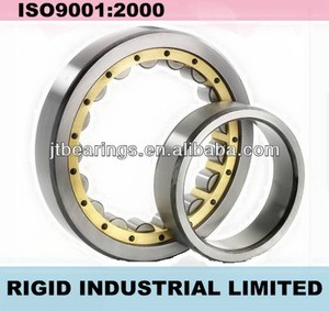full complement cylindrical roller bearings/sealed double row cylindrical roller bearing/nu type cylindrical cage roller bearing