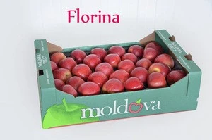 gala shniga fresh apples/ best quality fruits