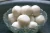 Import Garde AAA Frozen Fish Ball from South Africa