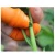 Import Garden Tools Fruit and Vegetable Picking Potted Plants Trim Silicone Thumb Knife Set Picking Portable Knife from China