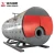 Import Germany Steam Boiler 2020 New Design Caldera de Vapor Gas Diesel Oil Boiler from China