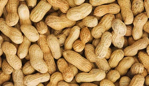 Good Grade Peanuts