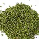 Green mung bean