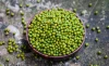 Green Mung Beans Wholesale