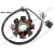 Import GY6125  Ignition Switch Coil  8 Pole Motorcycle Engine Parts  Ignition System from China