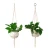 Import Handmade cotton Macrame Plant Hanger Indoor & outdoor Plant Hanger Home Decoration from China