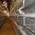 Henan silver star poultry equipment chicken cages for Kenya farm