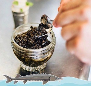 hi quality eco freshYear 2018 russian osetra sturgeon black beluga caviar