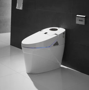 High-end Bathroom WC Constant Warm Water Spray Electric Bidet Toilet ZJS-04