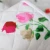 Import High quality anti-slip cozy roses pattern soft flannel sofa cover design from China