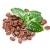 Import High Quality Arabia Coffee Powder from Peru