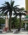 Import high quality Chinese ficberglass turnk outdoor plants artificial date palm tree wholesale from China
