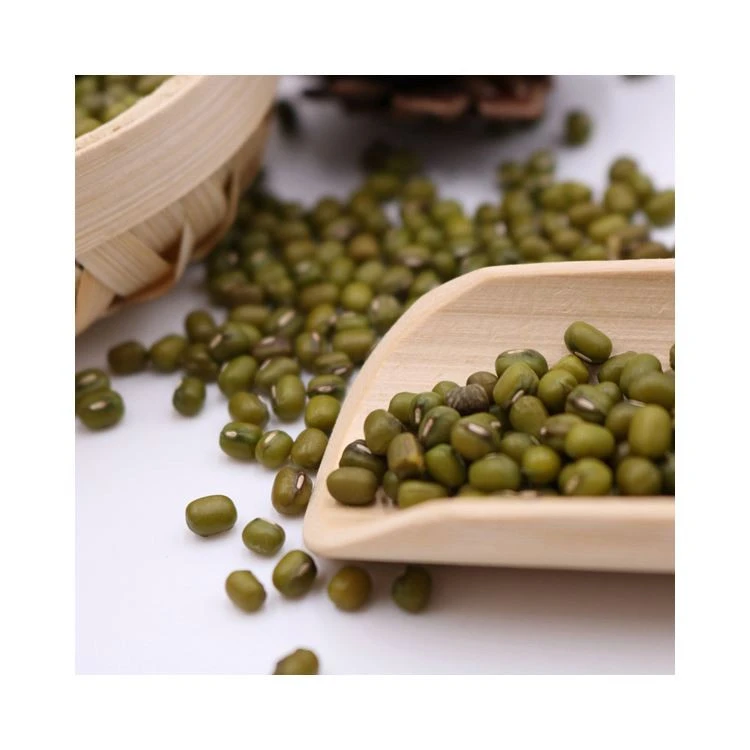 High Quality Crop Green Mung Bean Importers For Sale