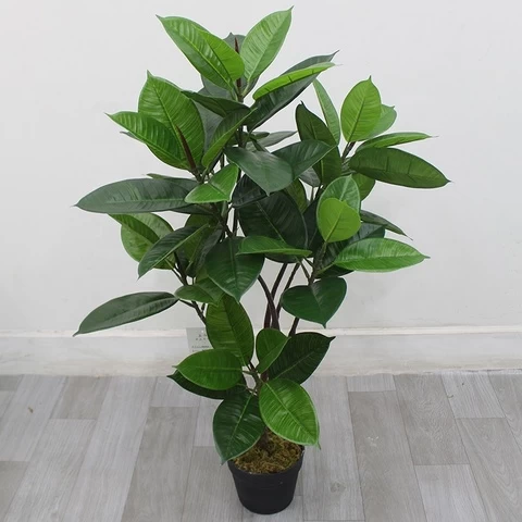 High Quality Home Hotel Office Decoration Faux Plastic Green Artificial Ficus Potted Plants