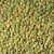 Import High Quality Lentils/ Green Lentils For Sale from Belgium