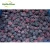 Import High quality new harvest crop low price IQF berries blackberry fruit 10kg bulk juice from China