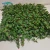 Import High Quality Outdoor Landscape Garden Artificial Vertical Green Plant Wall from China