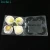 Import High Quality PET Plastic fruit packing tray from China