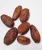 Import High Quality Vietnam Cocoa Beans 100% Natural from USA
