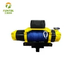High speed power winch mini 12v electric winch