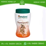 Himalaya Herbals Chyavanaprasha / Nutritional Supplement Providing nourishment and wellness