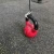 Import Home Workout Gym Strength Training Heavy Duty Body Building Arm Power Trainer Forearm Wrist Roller from China