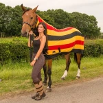 Horse Rugs