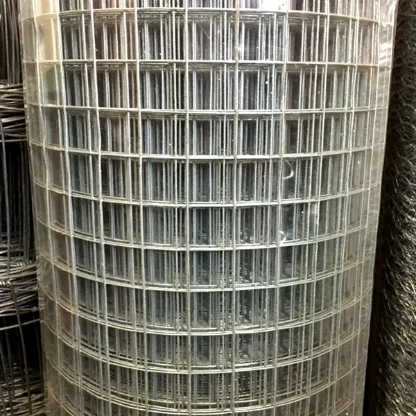 Hot dipped galvanized welded wire mesh 50x50