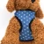 Import Hot Lovely  Pet Product Dog Harness Mesh fabric breathable and colorful dog harness from China