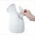 Import Hot Mist Sprayer home Sauna SPA Skin Care  Facial Steamer from China