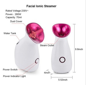 Hot Mist sprayer Nano Facial Steamer Home Use Facial Steamer Portable Face Steamer