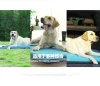 Hot sale Multi-use pet mattress Dog pad with no-spill water bowl pvc tarpaulin