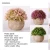 Import Hot sell Nordic sense potted green artificial plants plastic Strelitzia Reginae from China