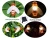 Import Hot selling home decor 20 bulbs honey bee chain Waterproof IP65 garden outdoor led solar string light from China