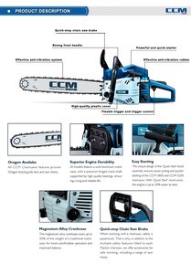 Hot-selling petrol 2-stock professional chain saw