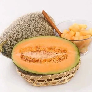 Hybrid High Quality Sweet Melon Seeds