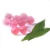 Import Hydrogel Ball Round Crystal Soil , Pearl Growing Magic Water Beads from China
