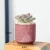 Import Ice crack design cheap ceramic planters flower pots from China