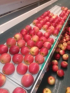 Idared Fresh Apples