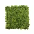 Import Indoor New Design Reindeer-moss Stabilized Preserved Moss Panel Home Decor from China